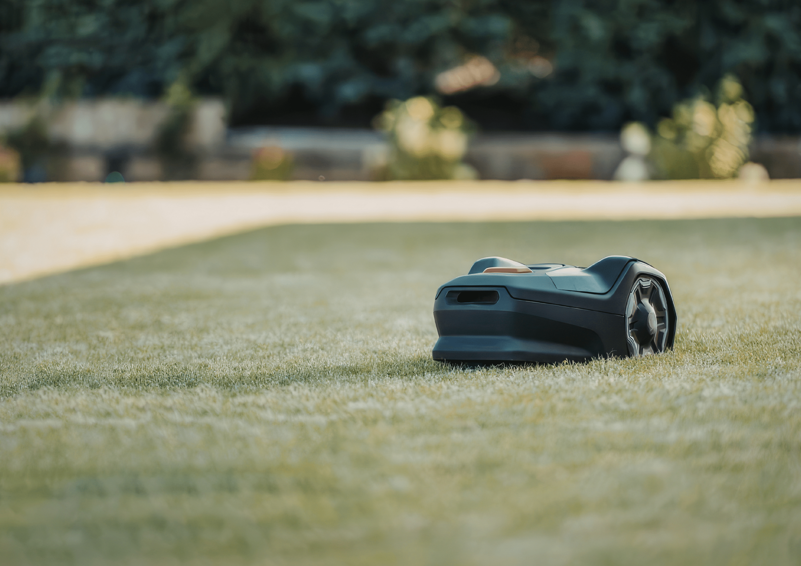 Österreichischer Tierschutzverein 2 5 scaled Österreichischer Tierschutzverein