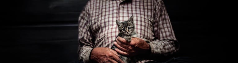 Österreichischer Tierschutzverein-Testament: Ihr Testament spenden für Tiere in Not