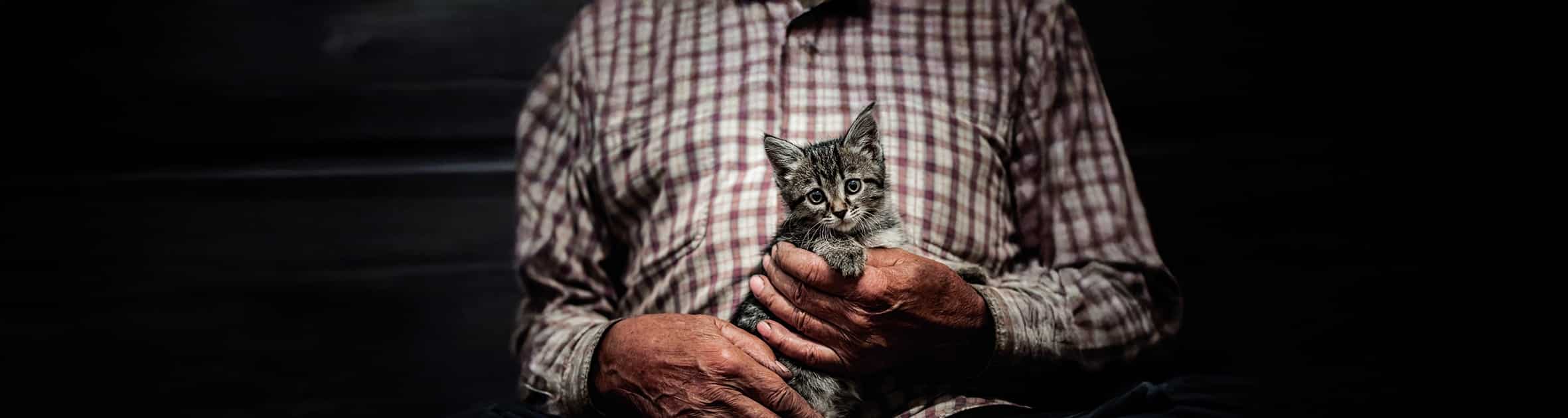 Österreichischer Tierschutzverein-Testament: Ihr Testament spenden für Tiere in Not