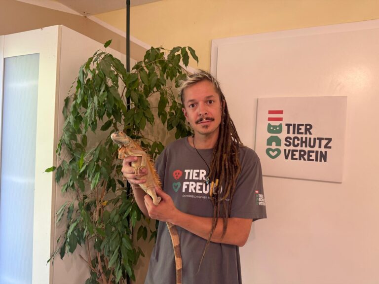 Alfred Kofler & Leguan © Österrreichischer Tierschutzverein
