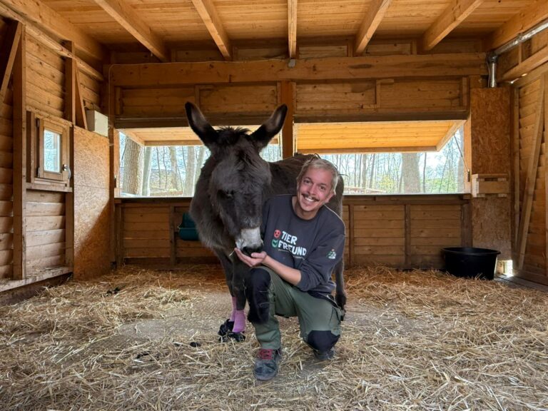 Alfred Kofler & Mary Assisi-Hof 1 © Österreichischer Tierschutzverein