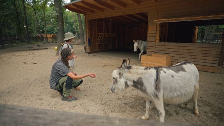 Filmstills Alfred und Noaham Assisi-Hof 3 ©OeTV
