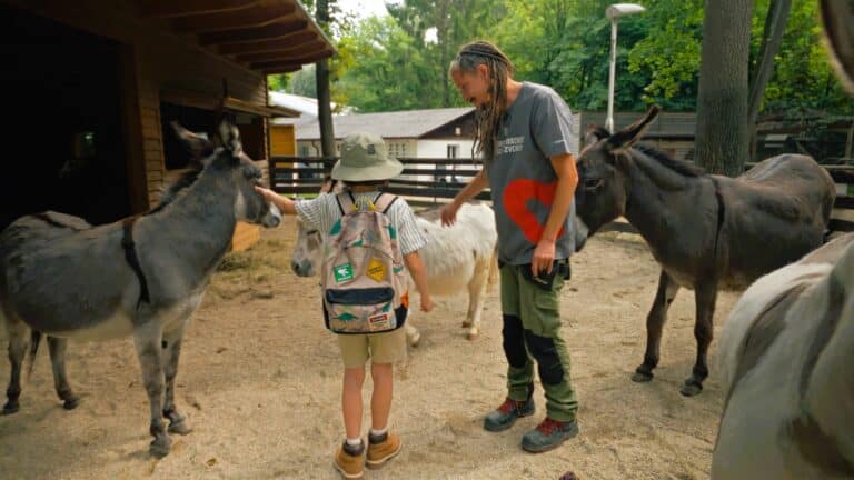 Filmstill Alfred Kofler und Noaham Assisi-Hof 3 ©OeTV