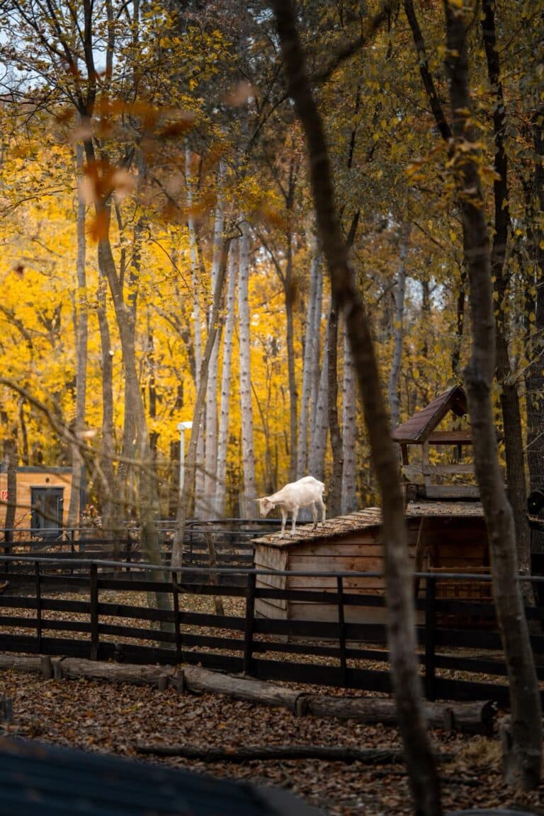 Assisi-Hof Stockerau ©OTV