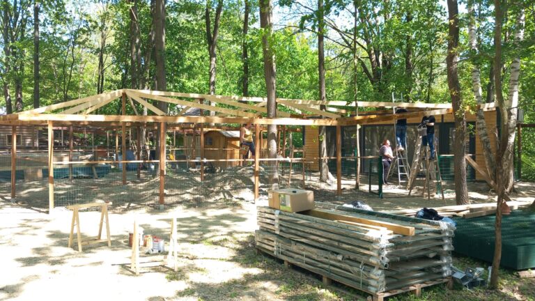 Ausbau Asisis-Hof 2 © Österreichischer Tierschutzverein