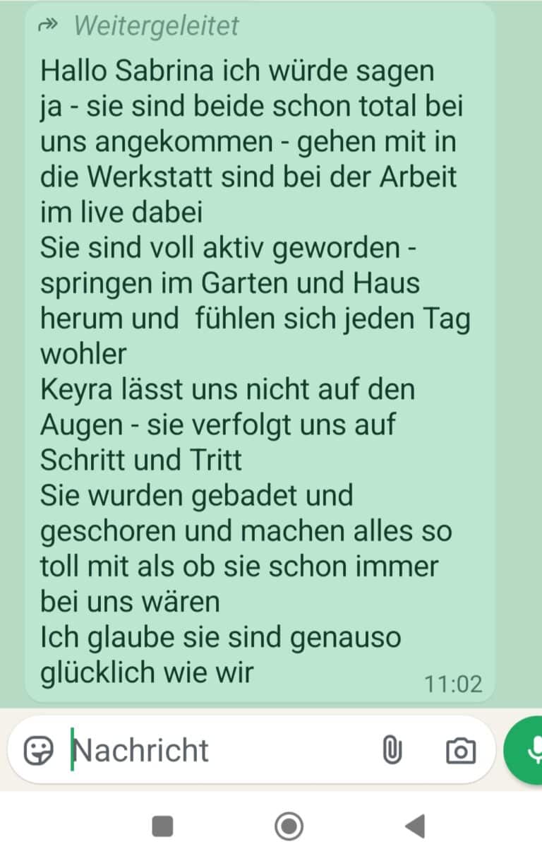 Bericht neue Besitzerin ©OeTV