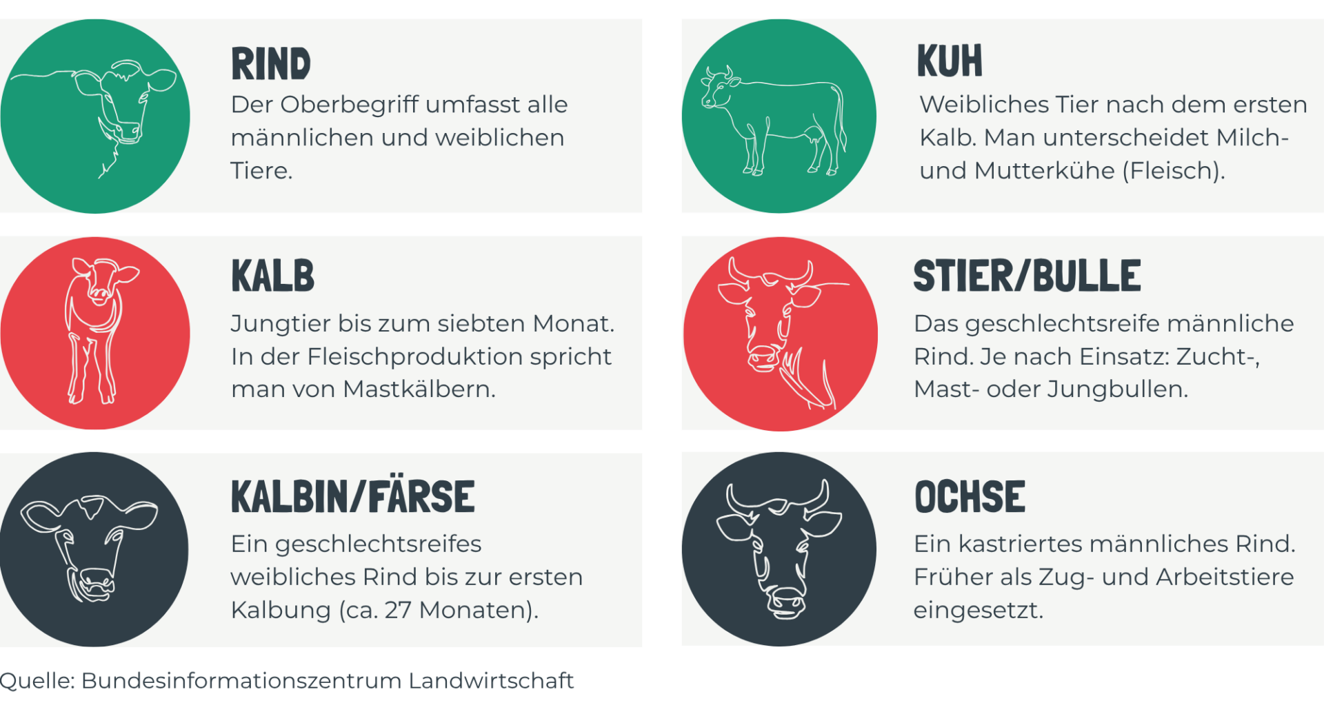 Österreichischer Tierschutzverein Bezeichnungen in der Schweinehaltung 38 Österreichischer Tierschutzverein