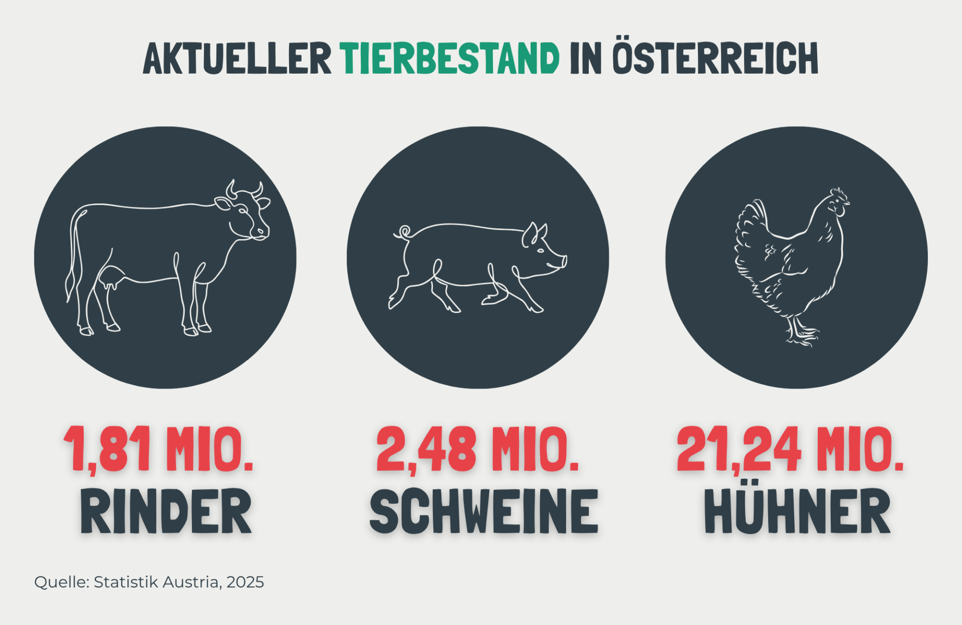 Österreichischer Tierschutzverein Bezeichnungen in der Schweinehaltung 55 1 Österreichischer Tierschutzverein