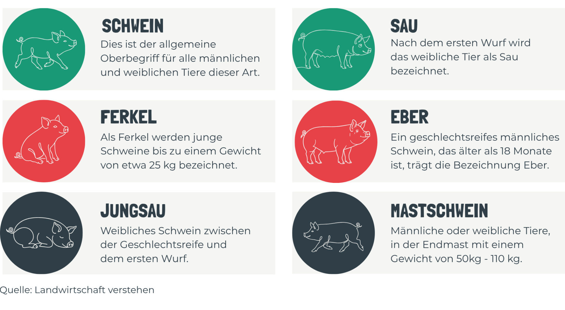 Österreichischer Tierschutzverein Bezeichnungen in der Schweinehaltung 61 Österreichischer Tierschutzverein