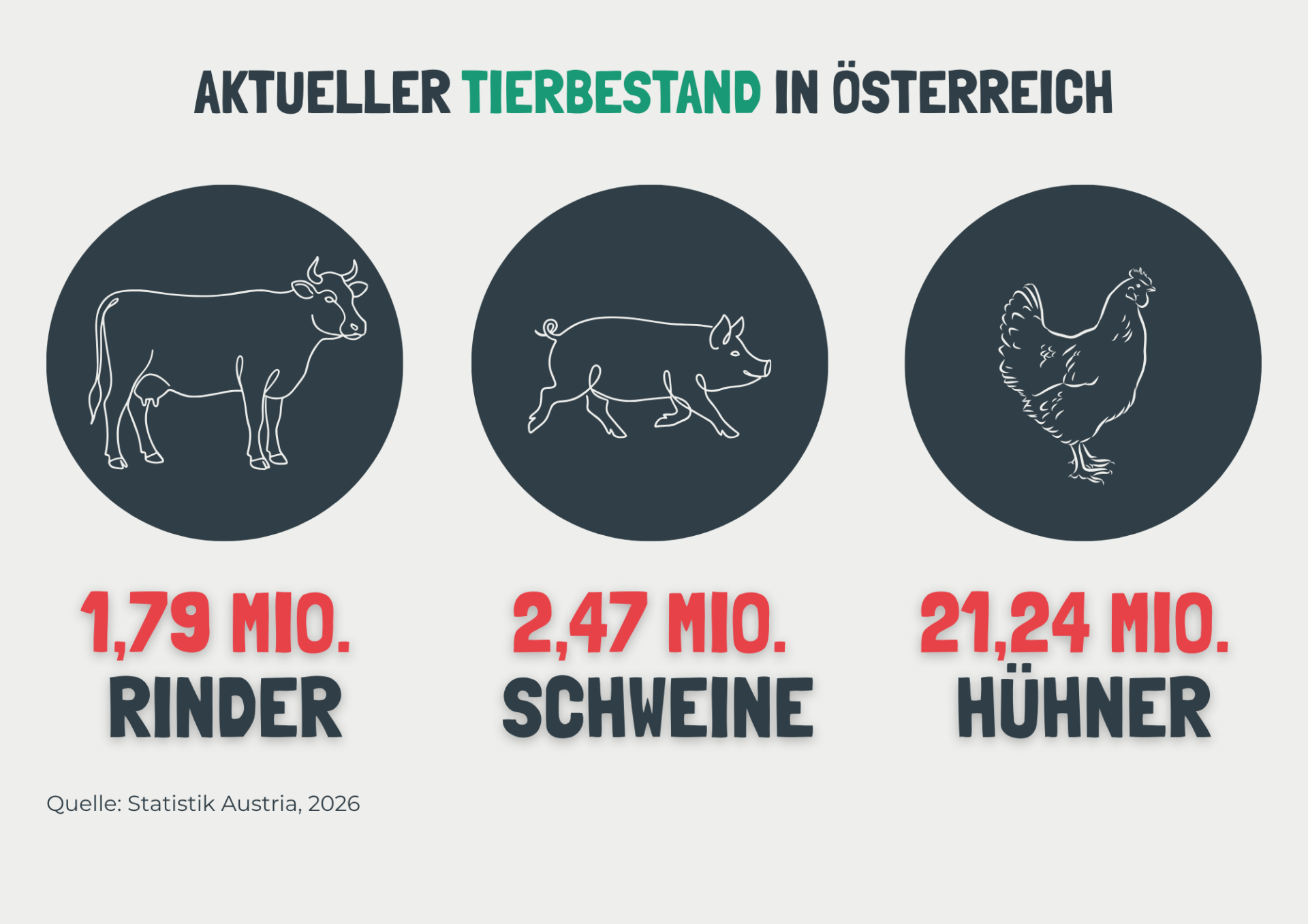 Bezeichnungen in der Schweinehaltung 78 Österreichischer Tierschutzverein