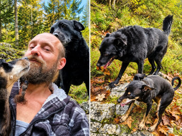 Blackys neues Familenglück © Österrreichischer Tierschutzverein