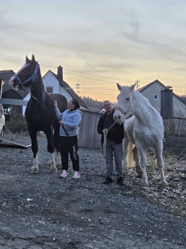 Österreichischer Tierschutzverein-Happy Ends: Bonny und Sapphire