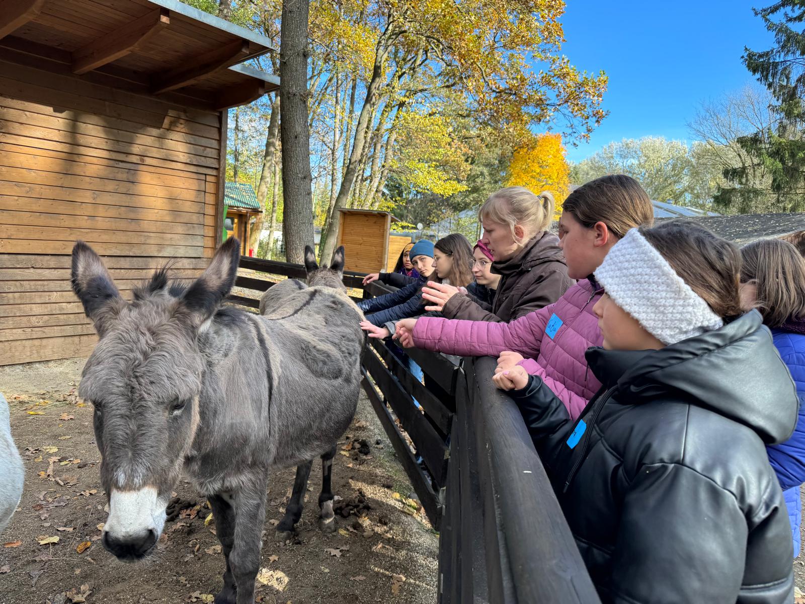 Camp Tierschutz 1 © Öster.Tierschutzverein