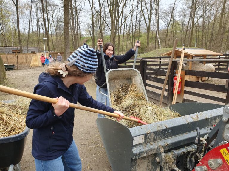 Camp Tierschutz Ausmisten © Österreichischer Tierschutzverein