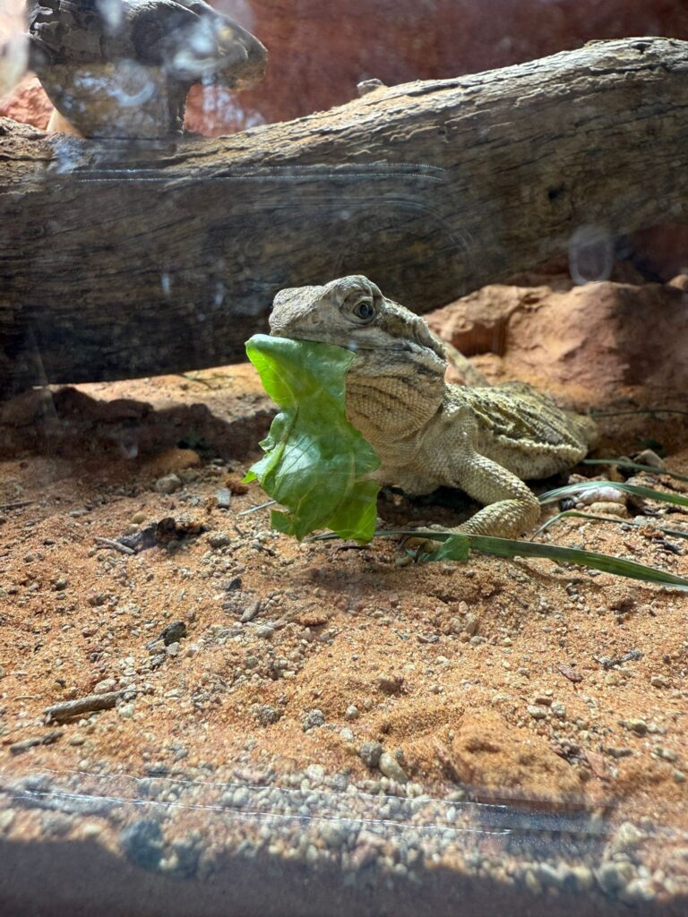 Camp Tierschutz Exoten 2 © Öster.Tierschutzverein