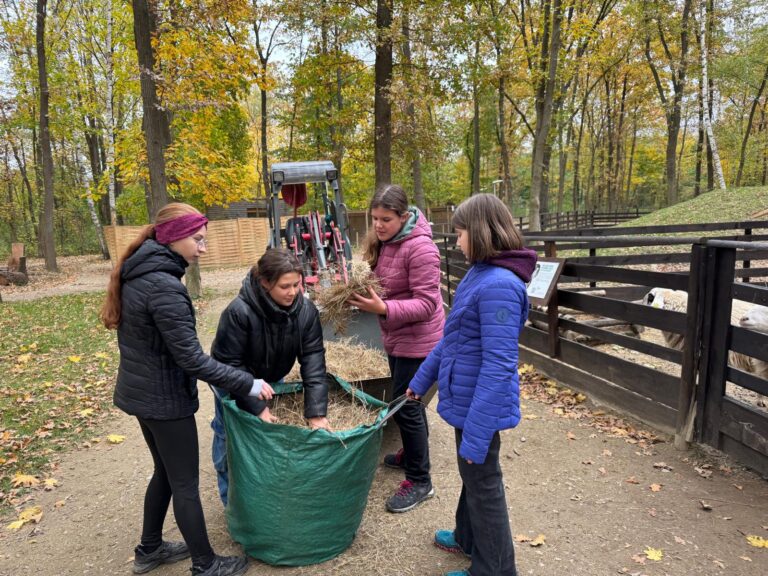 Camp Tierschutz Heulieferung © Öster.Tierschutzverein