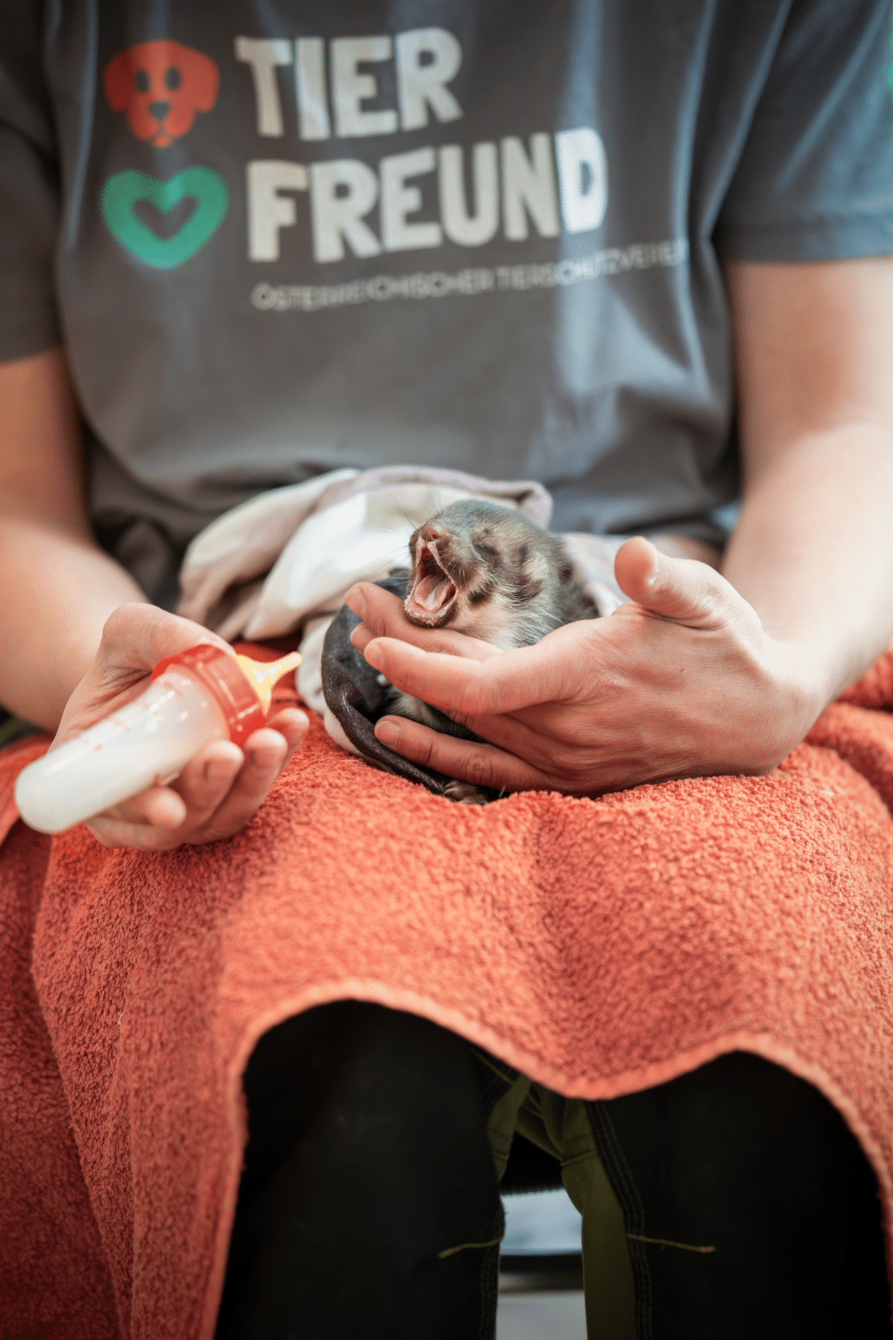 Österreichischer Tierschutzverein Spendenkampagnen: Wildtierstation