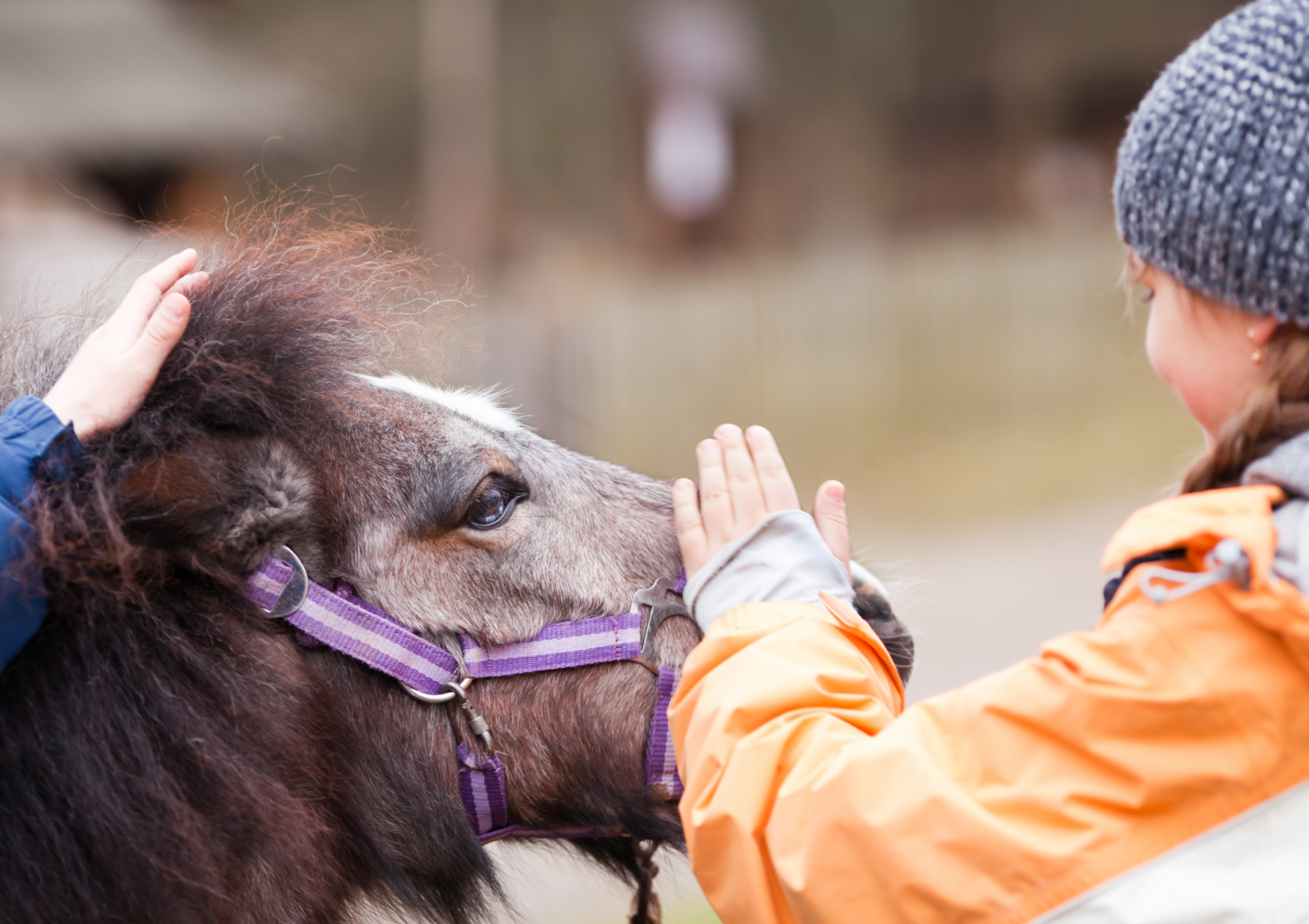 Österreichischer Tierschutzverein-Events: Kinder und Tiere
