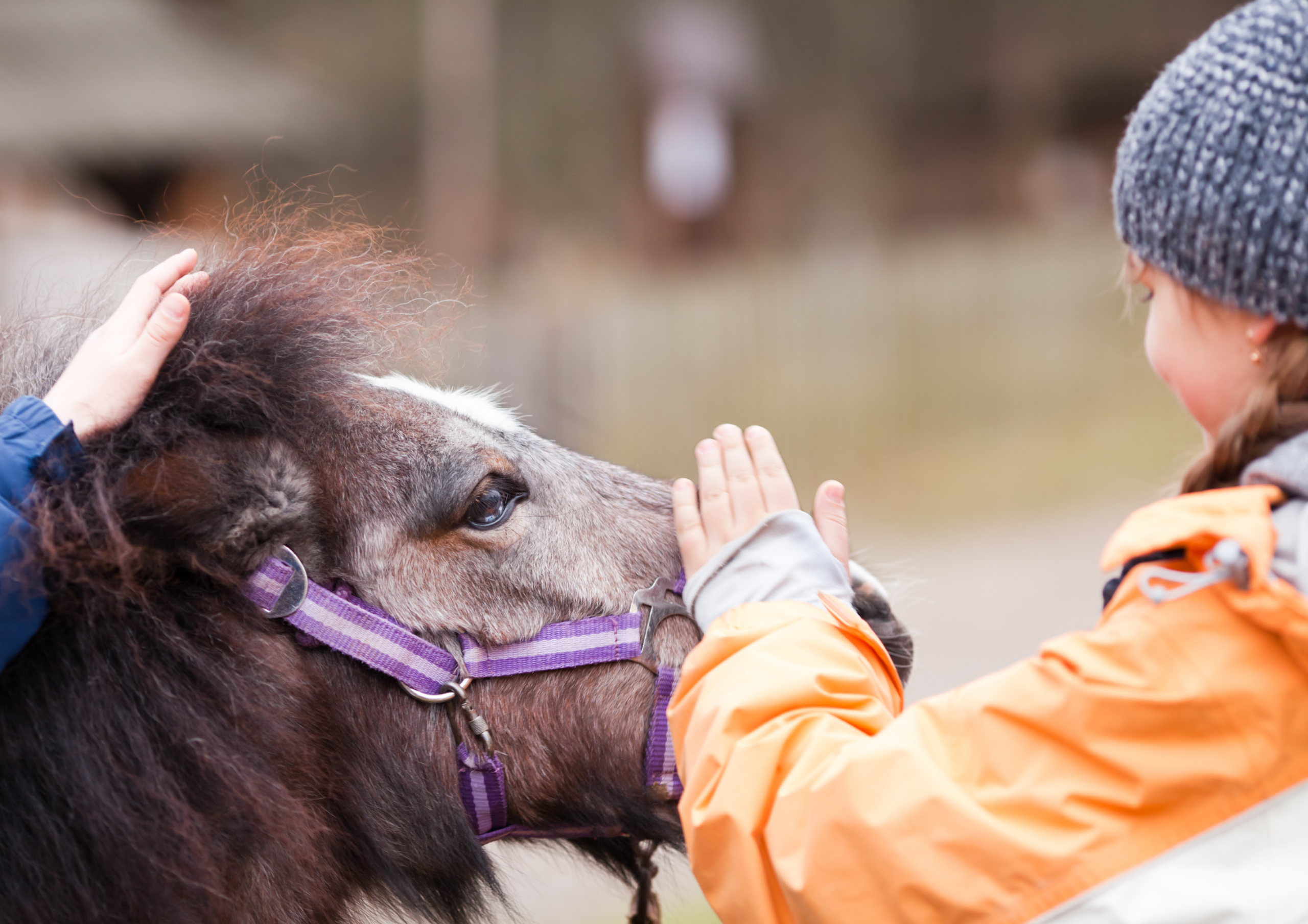 Österreichischer Tierschutzverein-Events: Kinder und Tiere