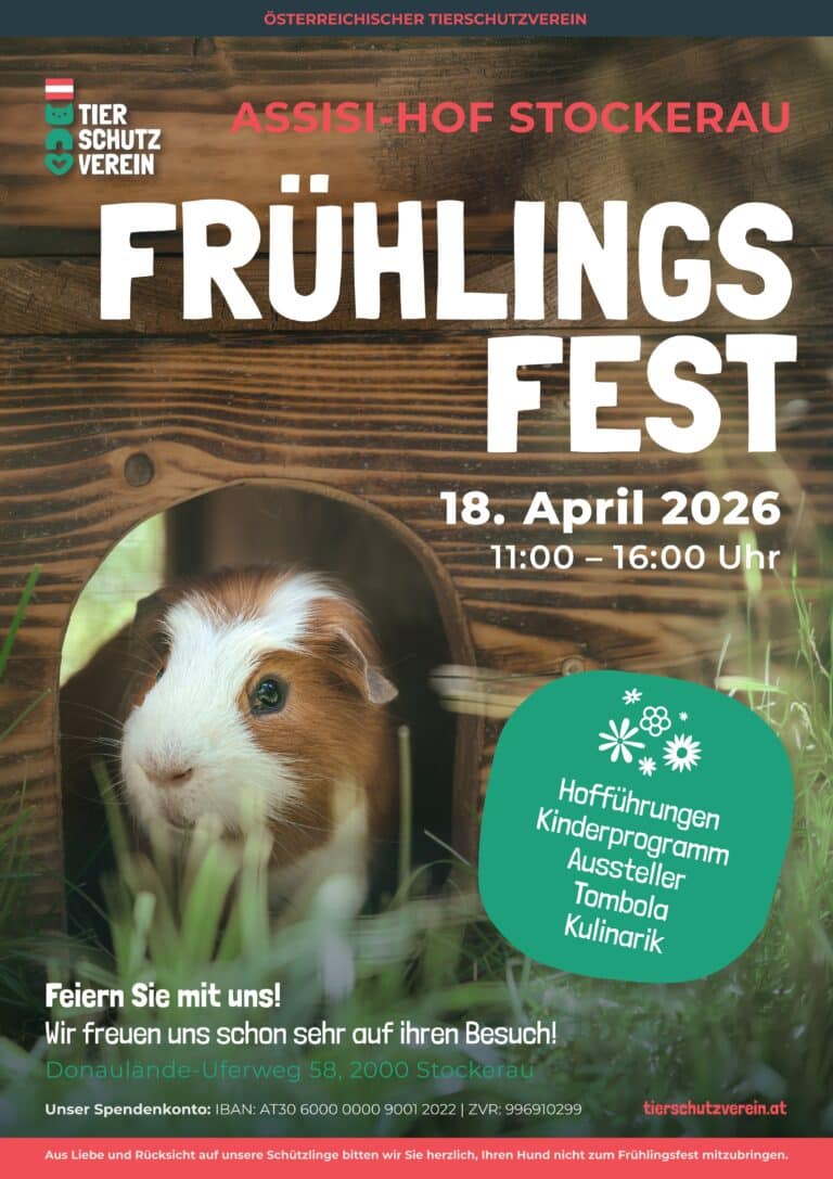 Einladung Frühlingsfest Assisi-Hof Stockerau