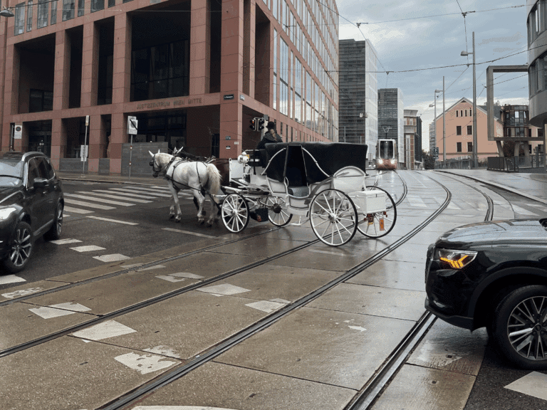 Österreichischer Tierschutzverein - Petition: Fiaker