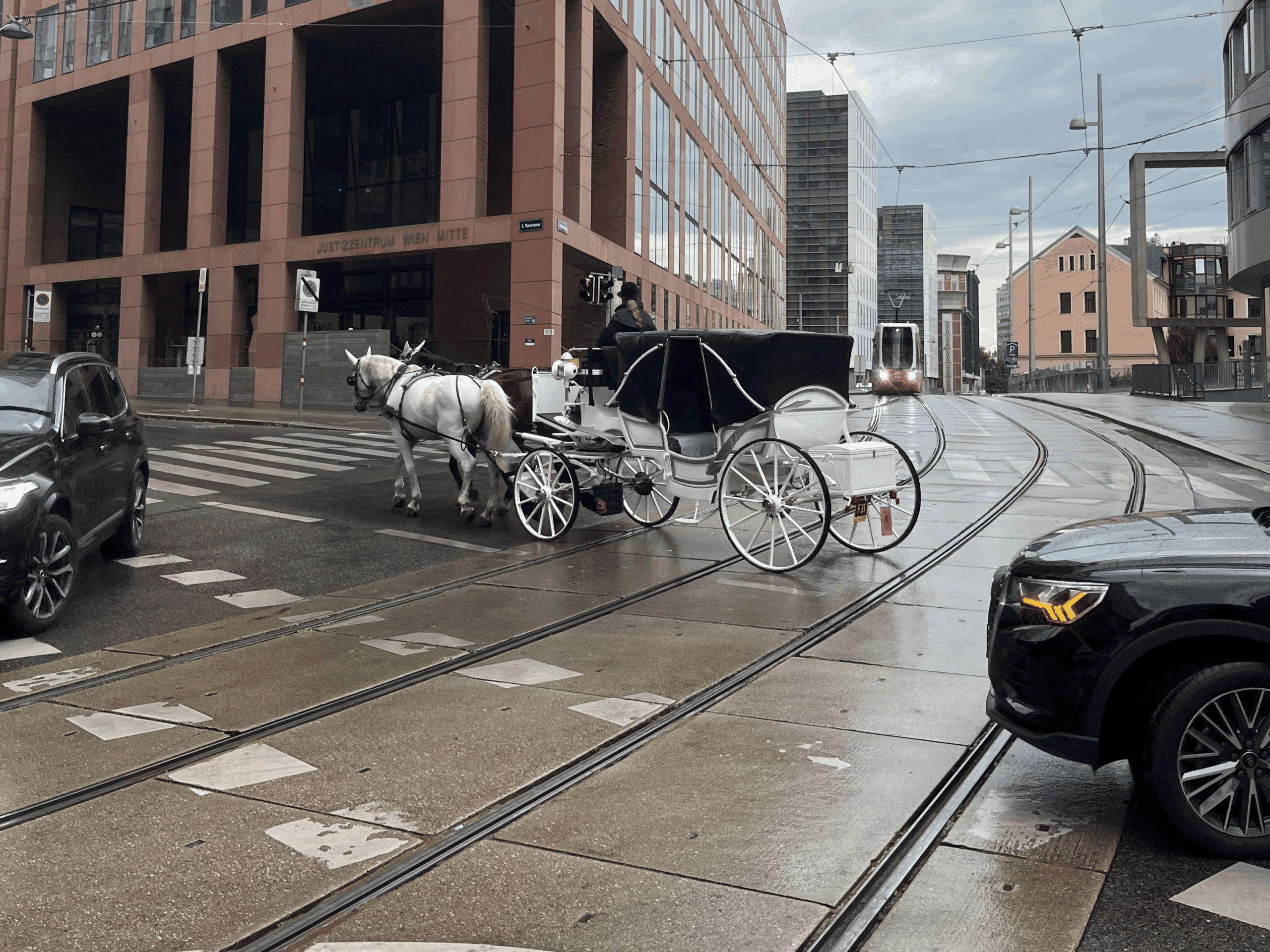 Österreichischer Tierschutzverein - Petition: Fiaker