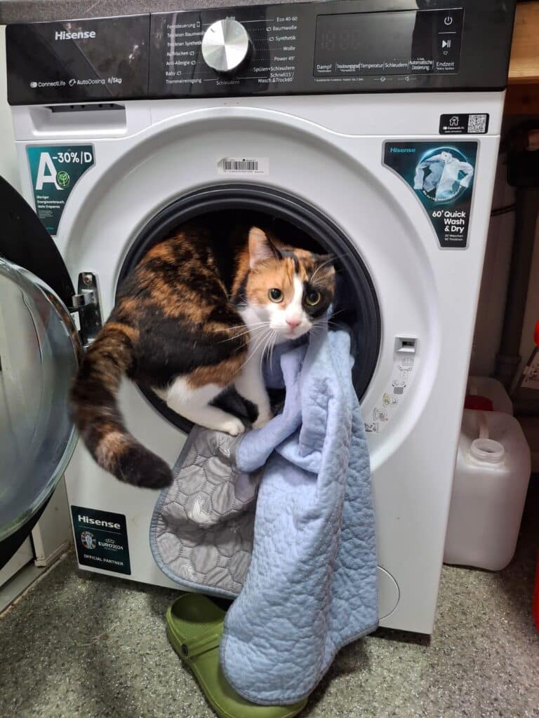 Faszination Waschmaschine ©OeTV