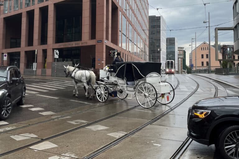 Fiaker im Straßenverkehr © Österreichischer Tierschutzverein