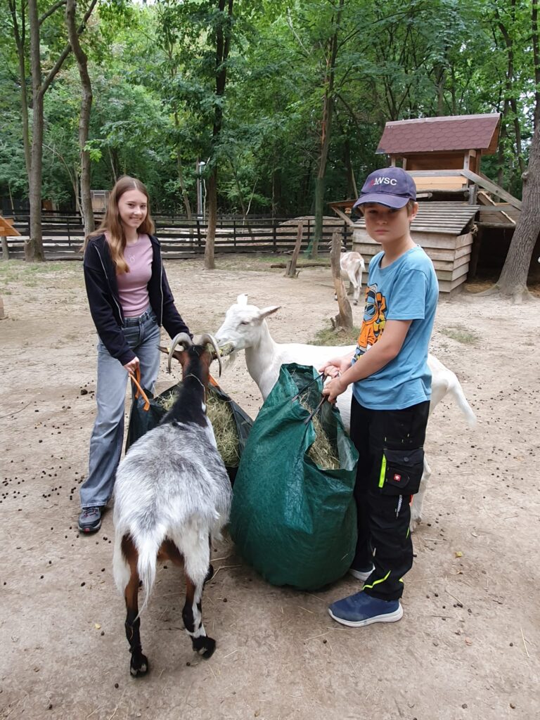 Futter © Österreichischer Tierschutzverein