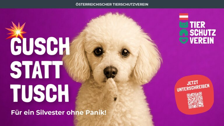 GuschStattTusch_Pudel©OeTV