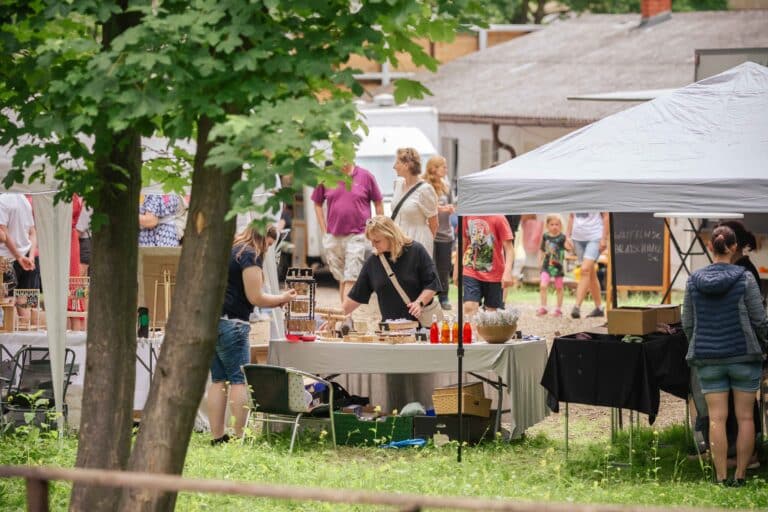 Österreichischer Tierschutzverein - Anlassspenden: Hilf Tieren in Not mit deinem Event