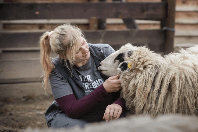 Hofleiterin Stephani Lang und Schaf ©OeTV Bea