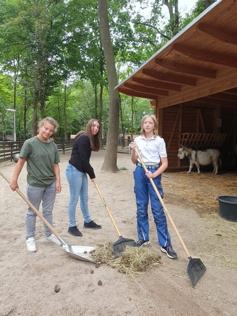 Hofputz © Österreichischer Tierschutzverein