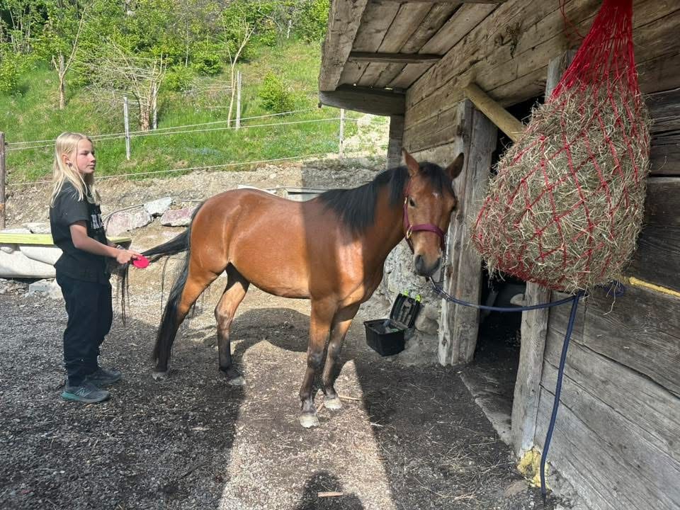 IMG 0055 Österreichischer Tierschutzverein