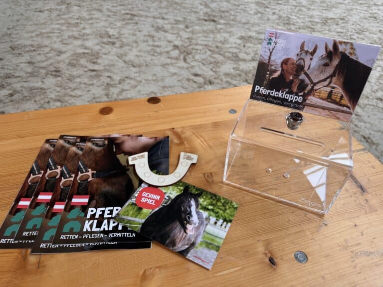 Österreichischer Tierschutzverein - Anlassspende: Pferden in Not mit deinem Event helfen