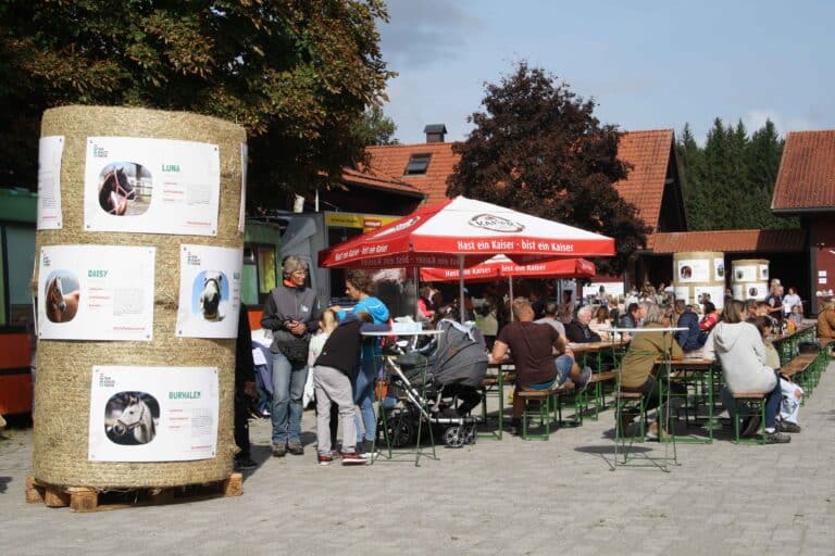 Österreichischer Tierschutzverein - Anlassspenden: Pferden in Not mit deinem Event helfen