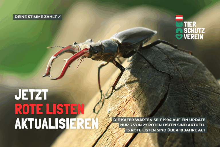 Kampagne Rote Listen 1 © Österreichischer Tierschutzverein