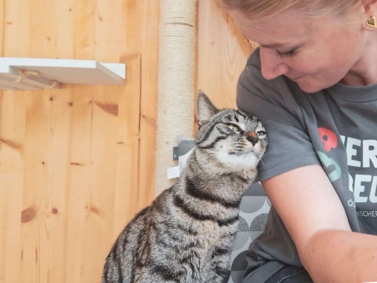 Kater Gismo mit Pflegerin Bea ©ÖTV