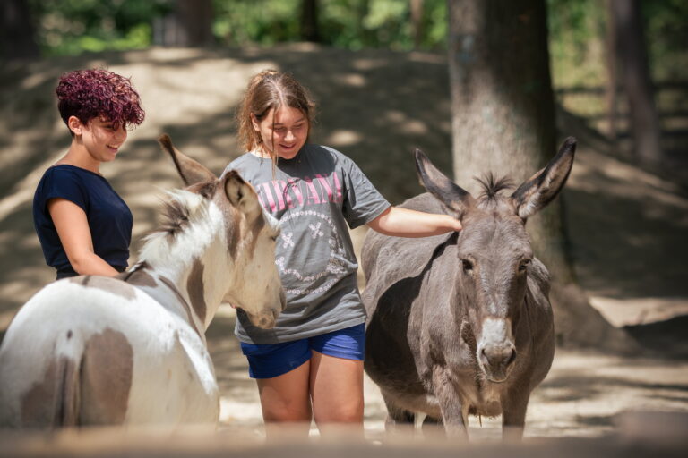 Kids & Esel © Österreichischer Tierschutzverein
