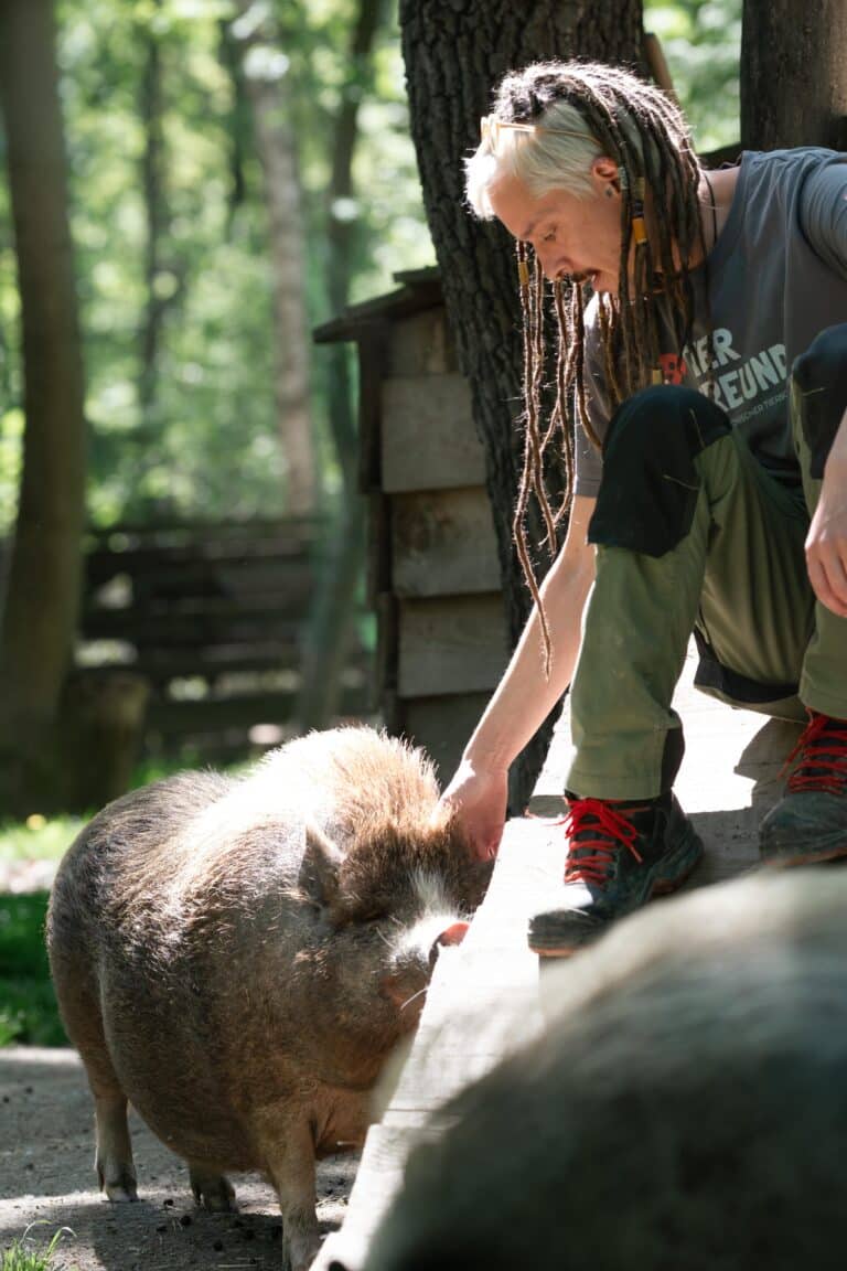 Leiter der Tierpfege Alfred Kofler & Minischweine ©OeTVBea