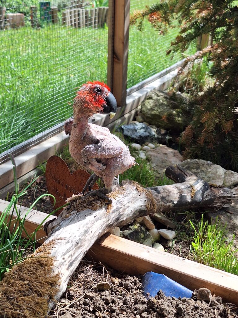 Malou im Garten Pflegestelle ©ÖTV