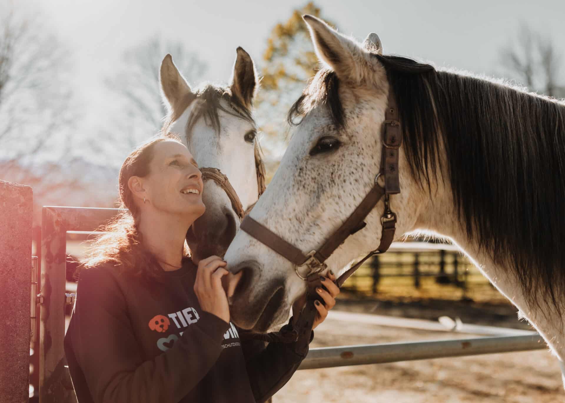 PK 41 Österreichischer Tierschutzverein