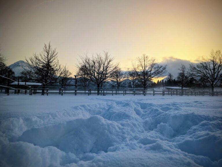 Pferdeklappe versinkt im Schnee