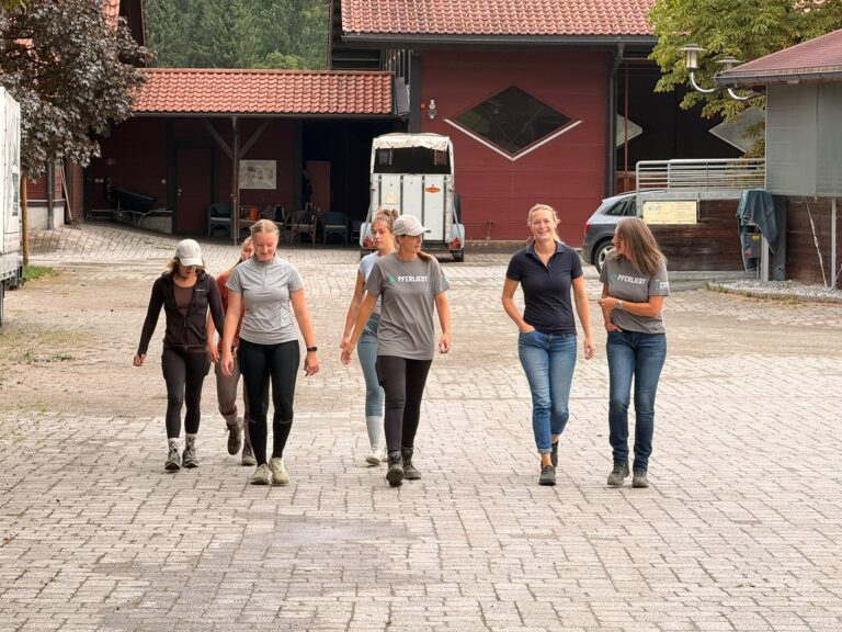 Pferdeklappen-Team © Österreichischer Tierschutzverein