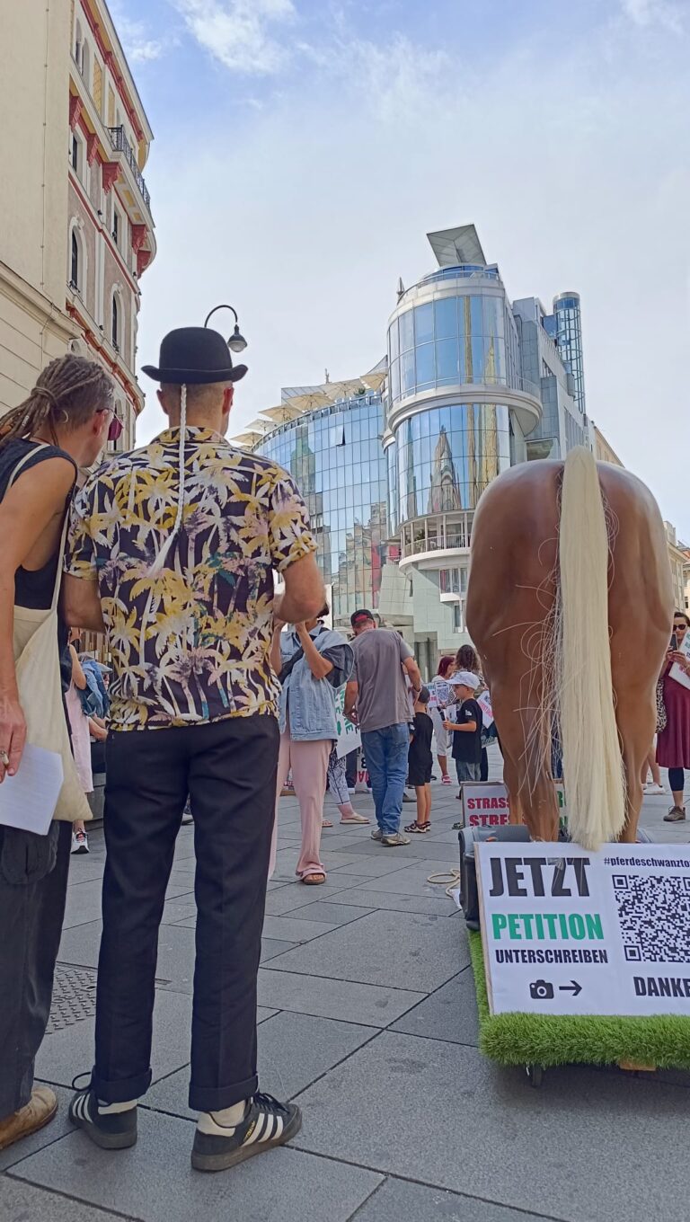 Pferdeschwanztour 10 ©OeTV
