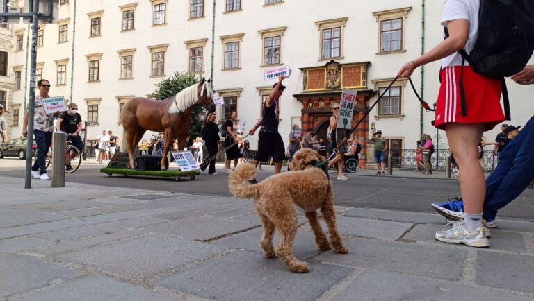 Pferdeschwanztour 5 ©OeTV