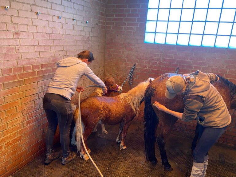 Pilzmittelbeahndlung© Österreichischer Tierschutzverein