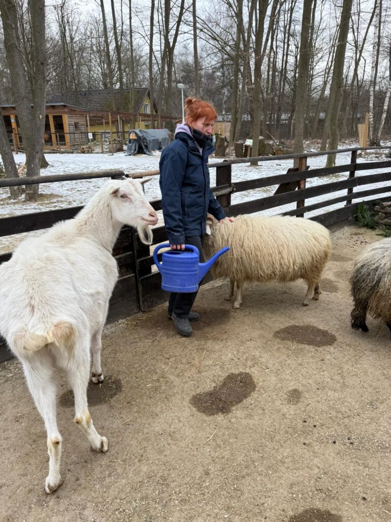 Provesorische Wasserversorgung 1 Assisi-Hof Stockerau