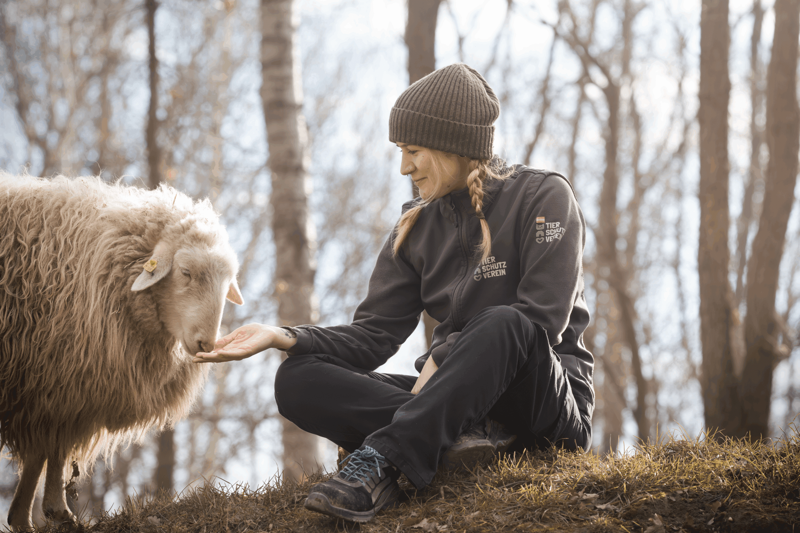 Österreichischer Tierschutzverein - kampagnen und petitionen - danke - spende