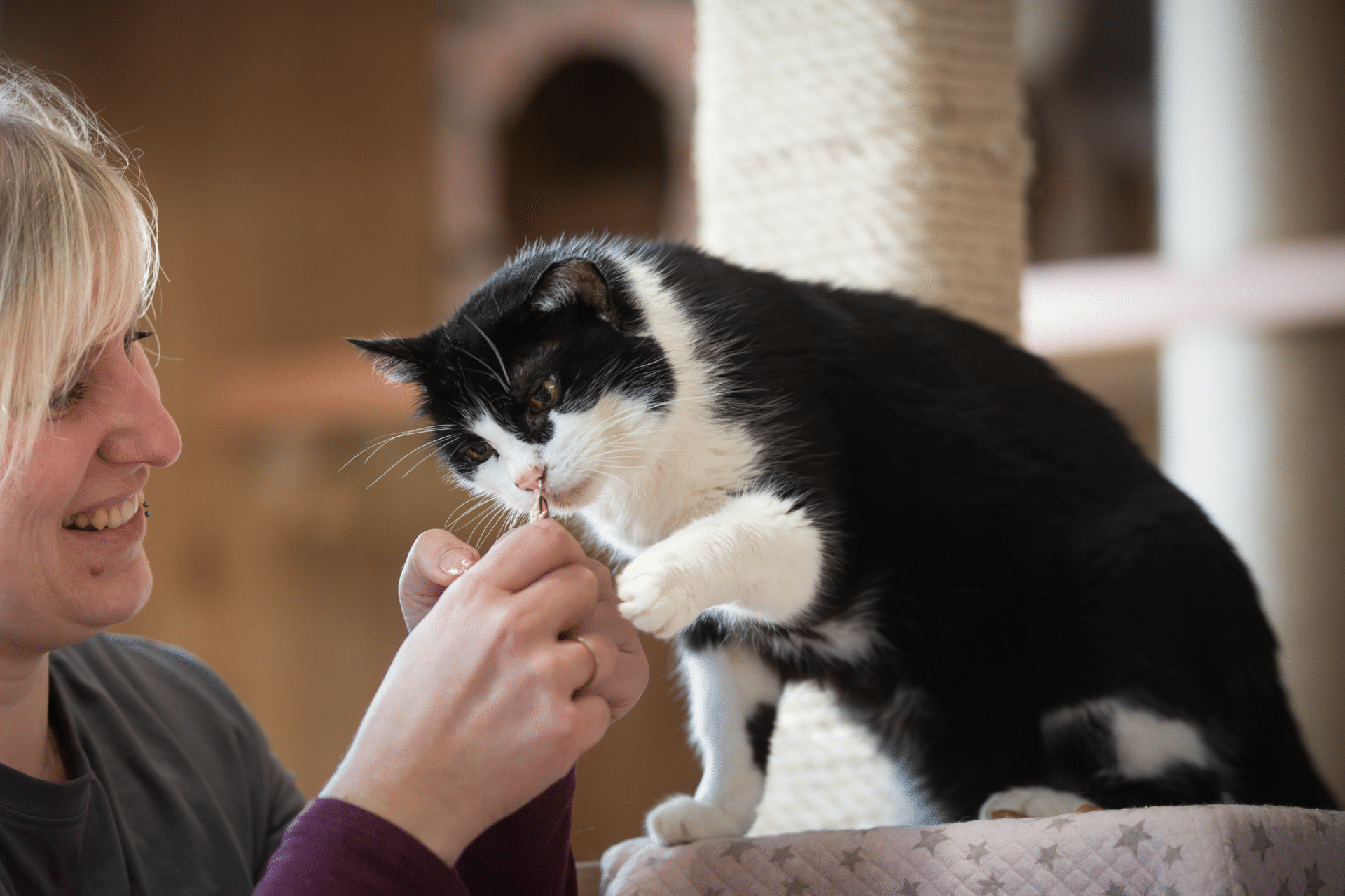 Österreichischer Tierschutzverein Stephi und Prinzi 2 ©OeTV Österreichischer Tierschutzverein